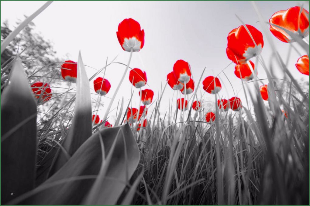 Vorlagen Lightroom Schön Lightroom Vorlagen Kostenlose Lightroom Presets Tinos