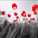 Vorlagen Lightroom Schön Lightroom Vorlagen Kostenlose Lightroom Presets Tinos