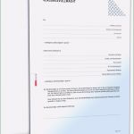 Vorsorgevollmacht Für Gesundheitsangelegenheiten Vorlage Bewundernswert Vorsorgevollmacht