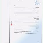 Vorsorgevollmacht Für Gesundheitsangelegenheiten Vorlage Cool Bankvollmacht Für Überweisung • De Vorlage Download