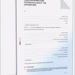 Vorsorgevollmacht Für Gesundheitsangelegenheiten Vorlage Süß Handlungsanweisung Vorsorgevollmacht Unternehmer