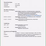Wie Bewerbe Ich Mich Richtig Vorlagen Best Of Muster Lebenslauf Word Muster Lebenslauf Kopfzeile