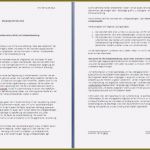 Wochenbericht Vorlage Elektroniker Erstaunlich Monatsbericht Vorlage