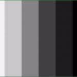 Wohnbestätigung Vorlage Best Of Hip Hop Universe View Single Post Black Women