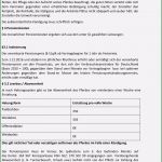 Wohnrecht Vorlage Elegant Mietkaufvertrag Muster Kfz