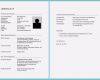 Word 2016 Lebenslauf Vorlage Best Of 13 Lebenslauf 2016 Vorlage Word