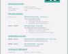 Word 2016 Lebenslauf Vorlage Beste 15 Lebenslauf Muster 2016 Word