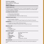 Word 2016 Lebenslauf Vorlage Erstaunlich 13 Lebenslauf 2016 Vorlage Word