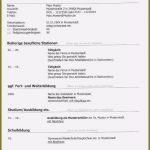 Word 2016 Lebenslauf Vorlage Erstaunlich 13 Lebenslauf 2016 Vorlage Word