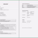 Word 2016 Lebenslauf Vorlage Neu Muster Lebenslauf Word Muster Lebenslauf Österreich 2016