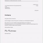 Zeitschriften Abo Kündigen Vorlage Best Of Shz Abo Kündigen Kostenlose Muster Vorlage Pdf Word